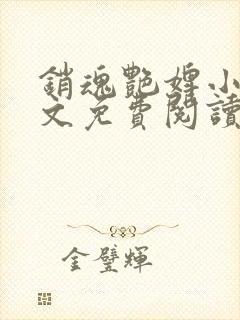 销魂艳婢小说全文免费阅读封面