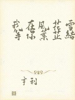 我在风花雪月里等你叶芷结局
