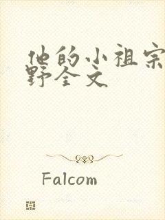 他的小祖宗甜又野全文