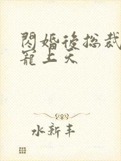 闪婚后总裁把我宠上天封面