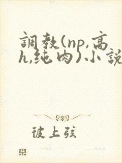 调教(np,高h,纯肉)小说