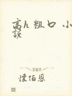 高h 粗口 小说