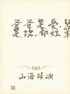 爸爸是受,儿子是攻,都姓叶的小说