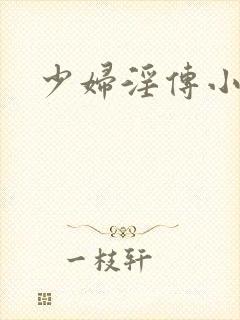 少妇淫传小说