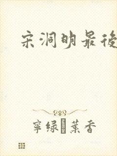 宋洞明最后结局封面