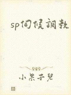 sp伺候调教文