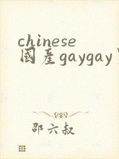 chinese国产gaygay男男网站