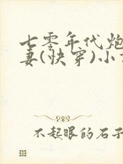 七零年代炮灰夫妻(快穿)小说封面