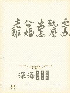 老公出轨要跟我离婚怎么办封面