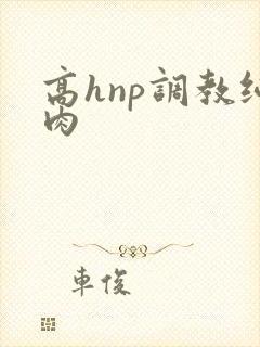 高hnp调教纯肉