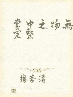 掌中之物无删减完整封面