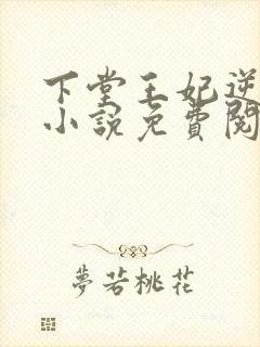 下堂王妃逆袭记小说免费阅读