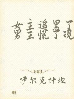 女主追累了放弃男主慌了现言