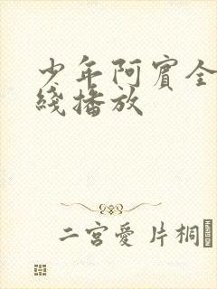 少年阿宾全集在线播放