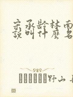 宋承龄林南薇小说叫什么名字封面