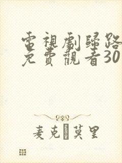 电视剧归路全集免费观看30集