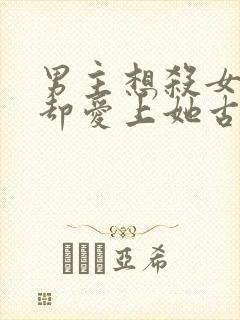 男主想杀女主但却爱上她古言封面