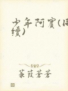 少年阿宾(同人续)