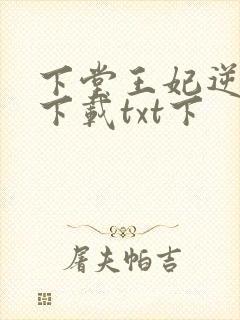 下堂王妃逆袭记下载txt下