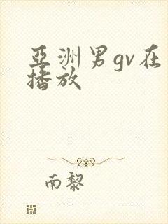 亚洲男gv在线播放