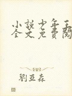 小说少年王王巍全文免费阅读全文封面