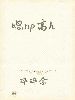 嗯np高h