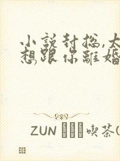 小说封总,太太想跟你离婚很久了在线阅读封面
