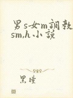 男s女m调教(sm,h小说
