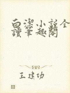 白洁小说全文阅读笔趣阁封面
