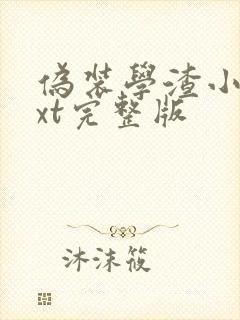 伪装学渣小说txt完整版封面