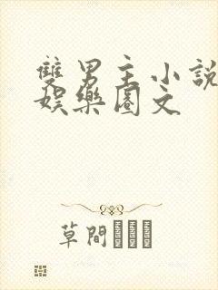 双男主小说推荐娱乐圈文