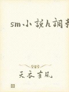 sm小说h调教