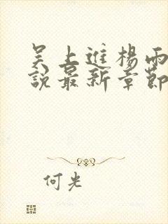 吴上进杨雨婷小说最新章节封面