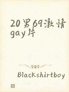20男69激情gay片
