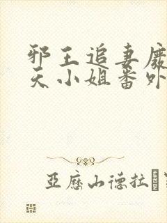 邪王追妻废材逆天小姐番外