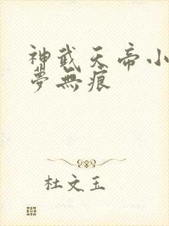 神武天帝小说心梦无痕