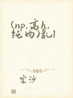 (np,高h,纯肉)乱l封面
