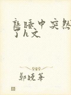熟睡中突然被进了h文封面