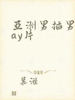 亚洲男插男同gay片封面