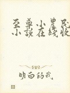 至尊小农民有声小说在线收听