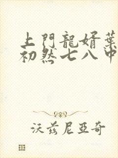 上门龙婿叶辰萧初然七八中文网