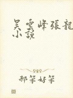 吴云峰张龙周晴小说