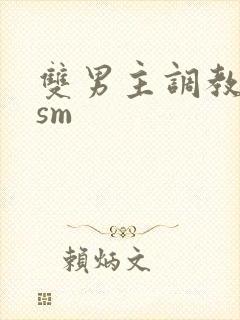 双男主调教小说sm封面
