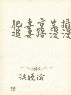肥妻重生摄政王追妻路漫漫小说