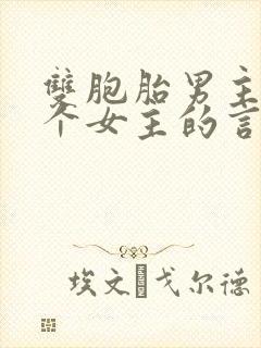 双胞胎男主和一个女主的言情小说