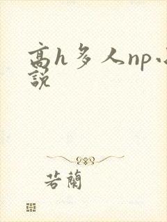 高h多人np小说