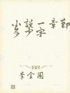 小说一章节大概多少字
