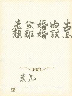 老公婚内出轨我想离婚该怎么办