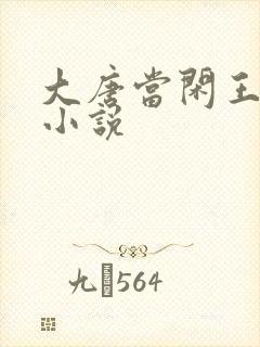大唐当闲王李慎小说封面