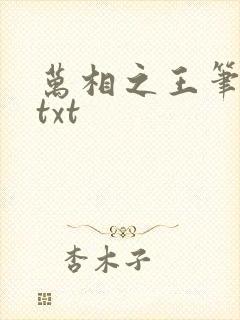 万相之王笔趣阁txt